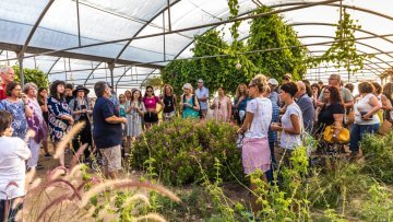 WhatsApp Image 2020-06-19 at 15.48.39