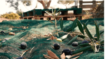 Schermata 2020-10-06 alle 17.55.34